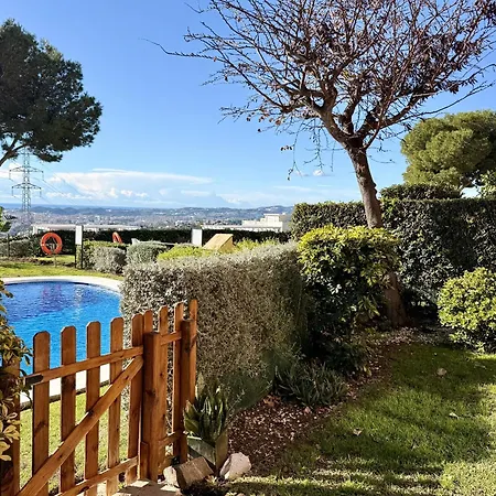 Betula Cs119 Benalmadena