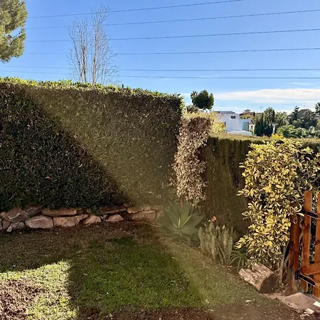 Betula Cs119 Benalmádena